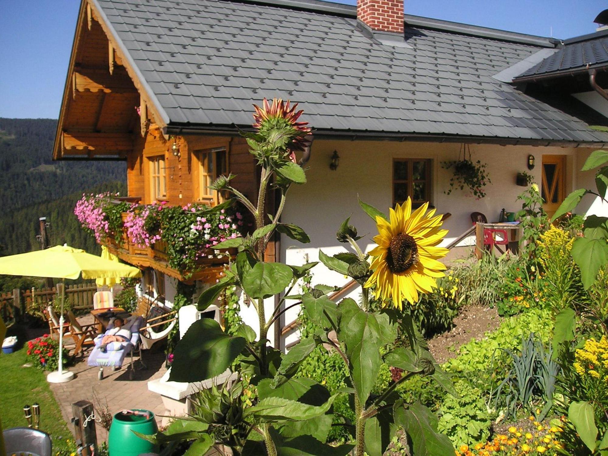 Hotel Fesengut à Annaberg-Lungötz Extérieur photo